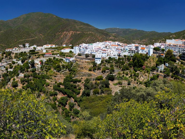 Town House for Sale in Inland Istán, Malaga 17
