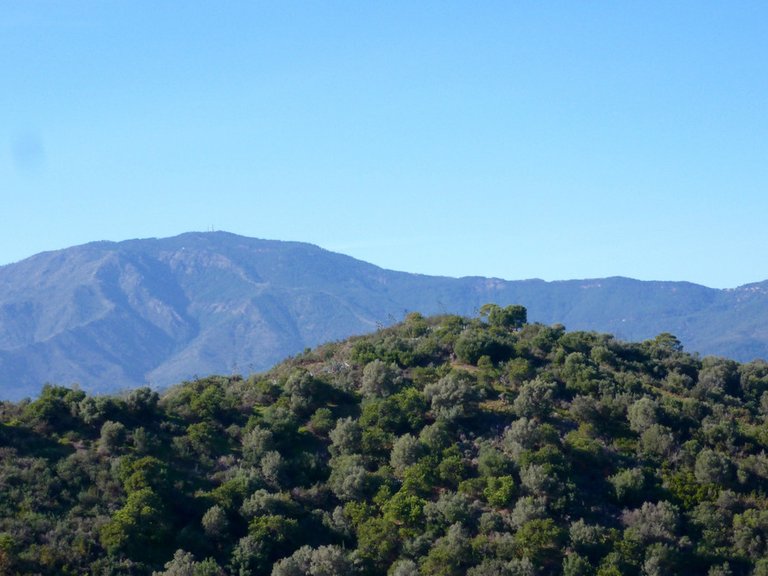 Plot for Sale in Costa del Sol Estepona, Malaga 2