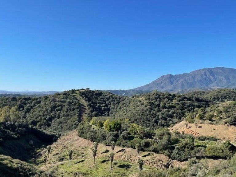 Plot for Sale in Costa del Sol Estepona, Malaga 3