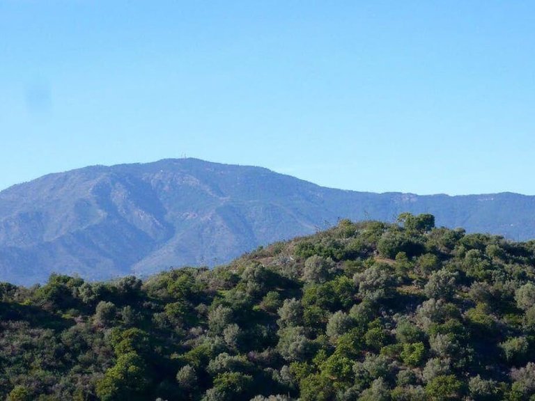 Plot for Sale in Costa del Sol Estepona, Malaga 4