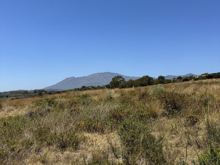 Plot for Sale in Selwo, Malaga 15