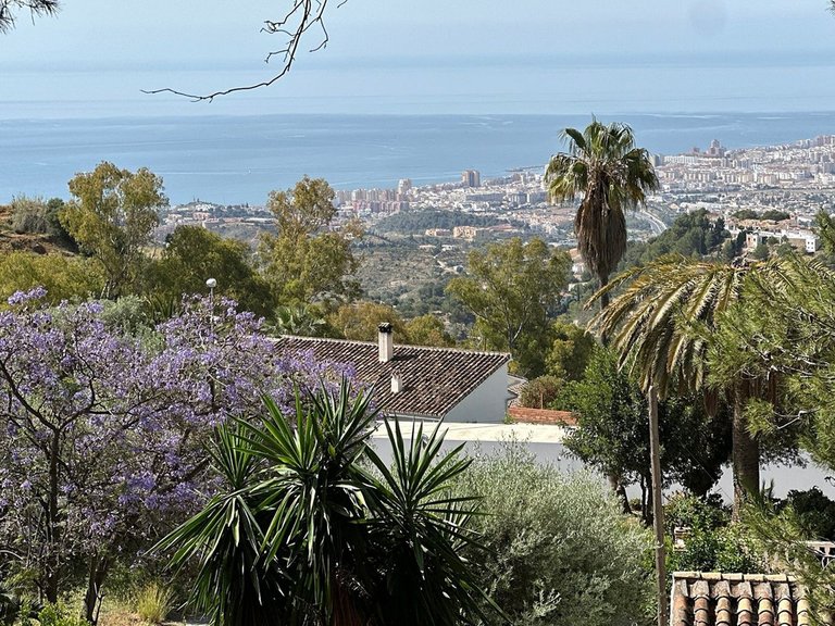 Plot for Sale in Mijas, Malaga 8