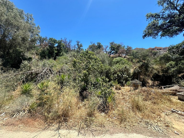 Plot for Sale in Marbella, Malaga 2