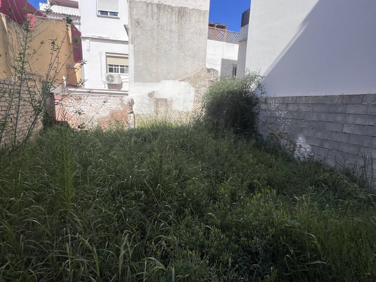 Plot for Sale in Marbella, Malaga 3