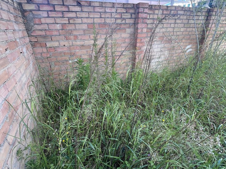 Plot for Sale in Marbella, Malaga 4