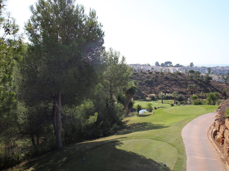 Villa for Sale in New Golden Mile, Malaga 14