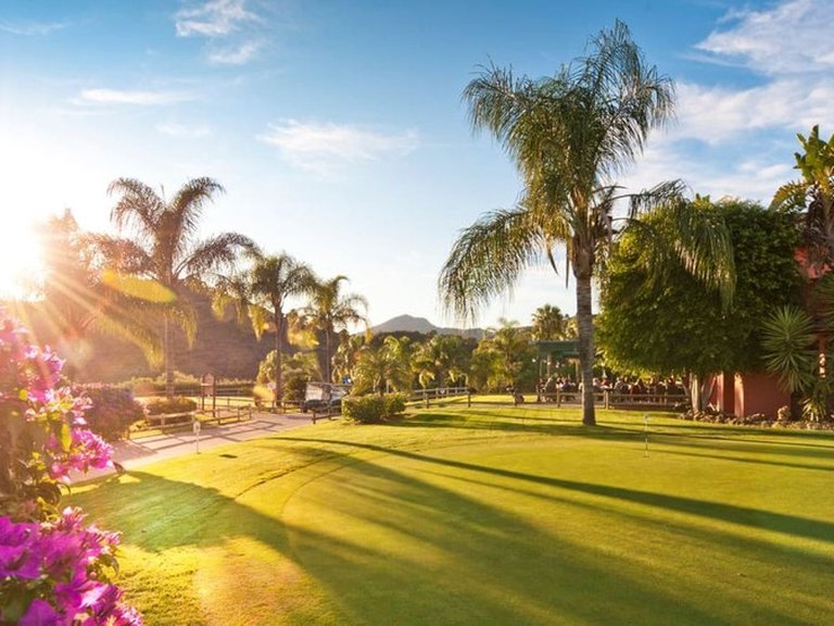 Apartment for Sale in Benahavís, Malaga 11