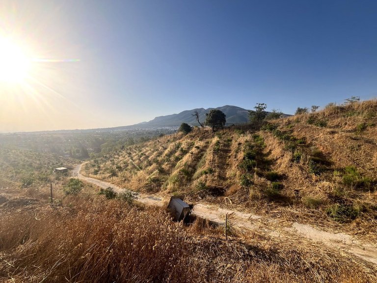 Plot for Sale in Alhaurín El Grande, Malaga 1