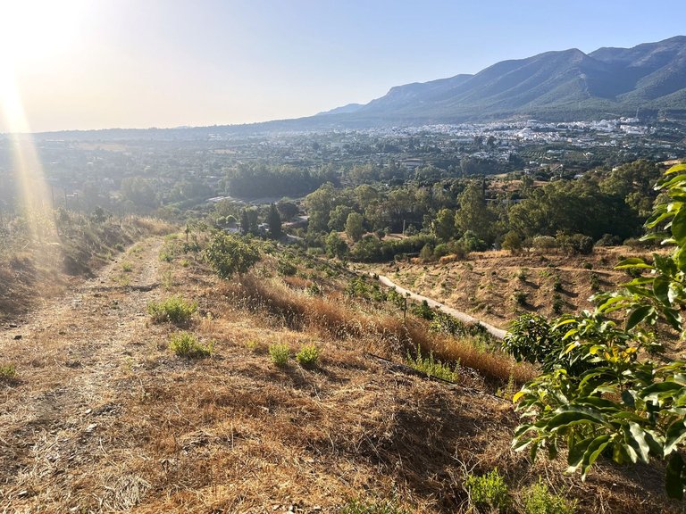 Plot for Sale in Alhaurín El Grande, Malaga 14