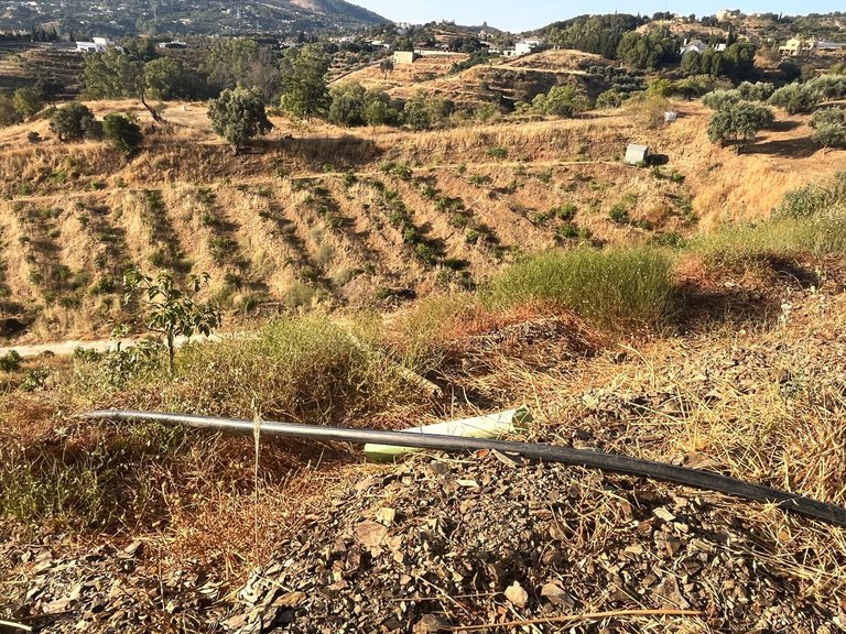 Plot for Sale in Alhaurín El Grande, Malaga 16
