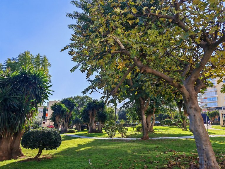 Apartment for Sale in Torremolinos, Malaga 19