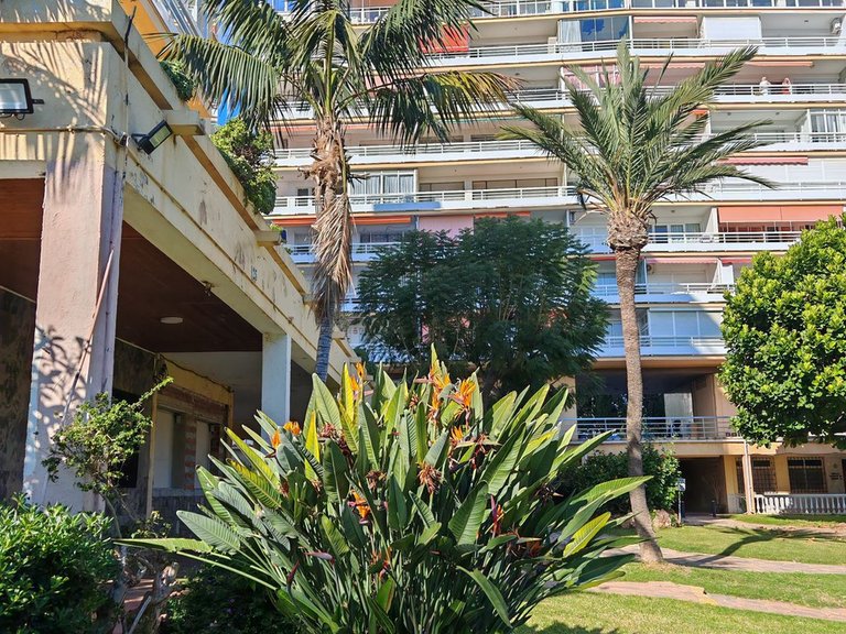 Apartment for Sale in Torremolinos, Malaga 20