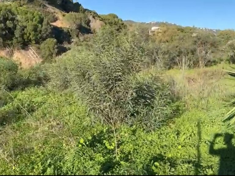Plot for Sale in Elviria, Malaga 3