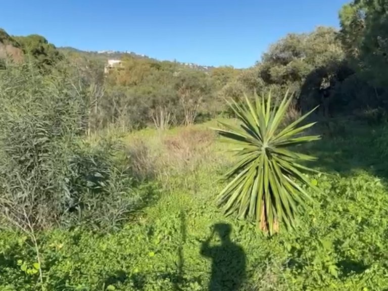 Plot for Sale in Elviria, Malaga 4