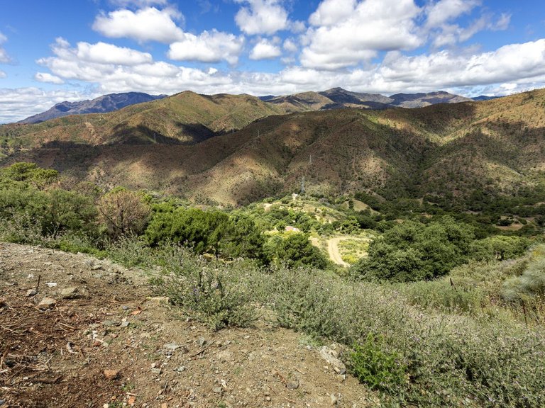 Plot for Sale in Benahavís, Malaga 1