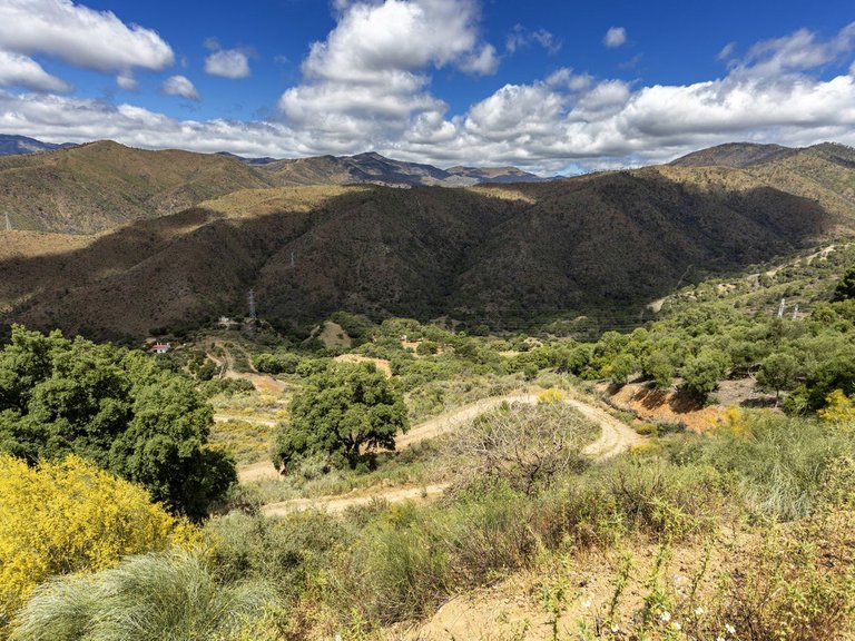 Plot for Sale in Benahavís, Malaga 2
