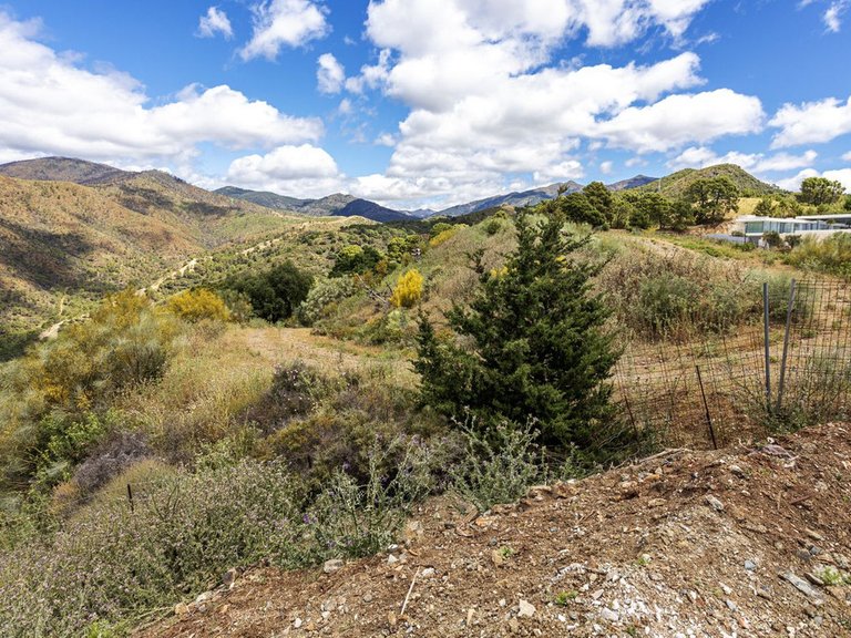 Plot for Sale in Benahavís, Malaga 3