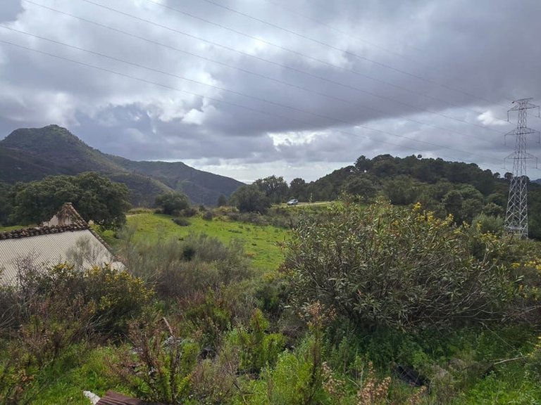 Plot for Sale in Benahavís, Malaga 1