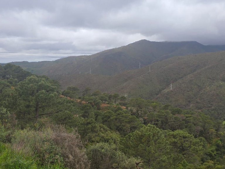Plot for Sale in Benahavís, Malaga 10