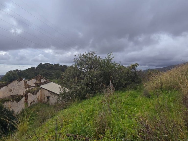 Plot for Sale in Benahavís, Malaga 14