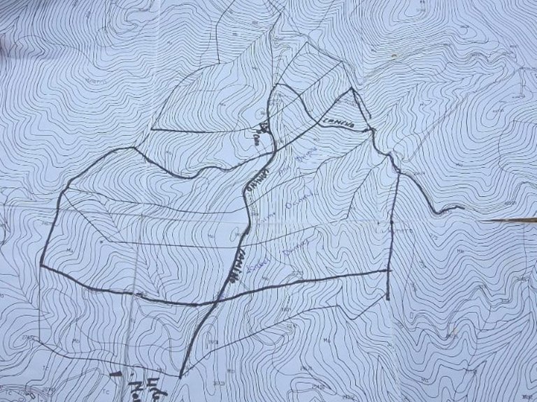 Plot for Sale in Benahavís, Malaga 16