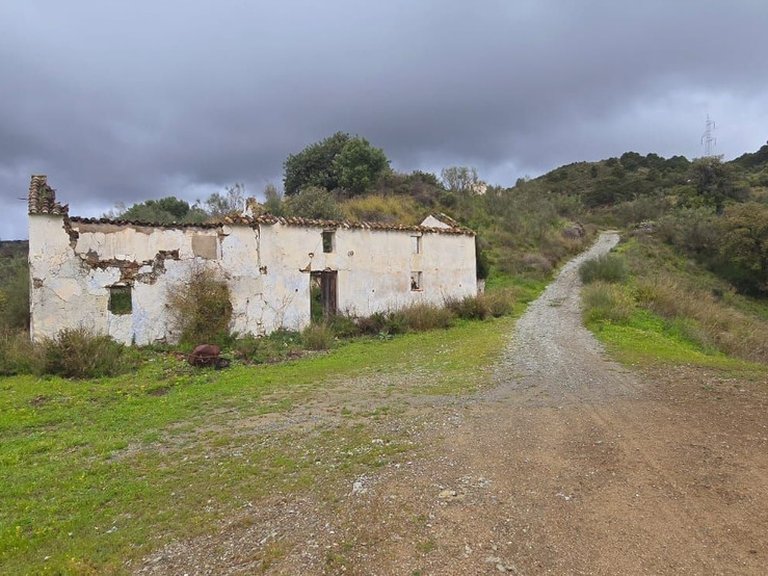 Plot for Sale in Benahavís, Malaga 2