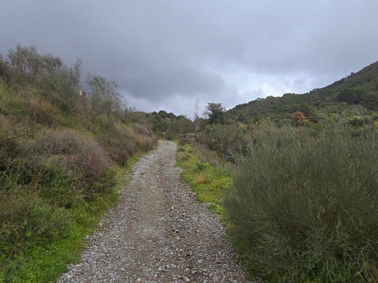 Plot for Sale in Benahavís, Malaga 3