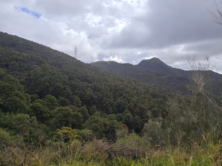 Plot for Sale in Benahavís, Malaga 5