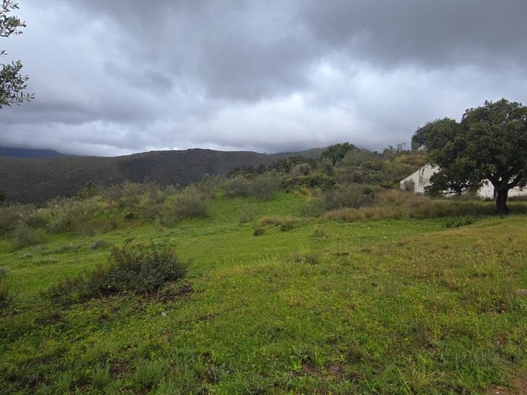 Plot for Sale in Benahavís, Malaga 6