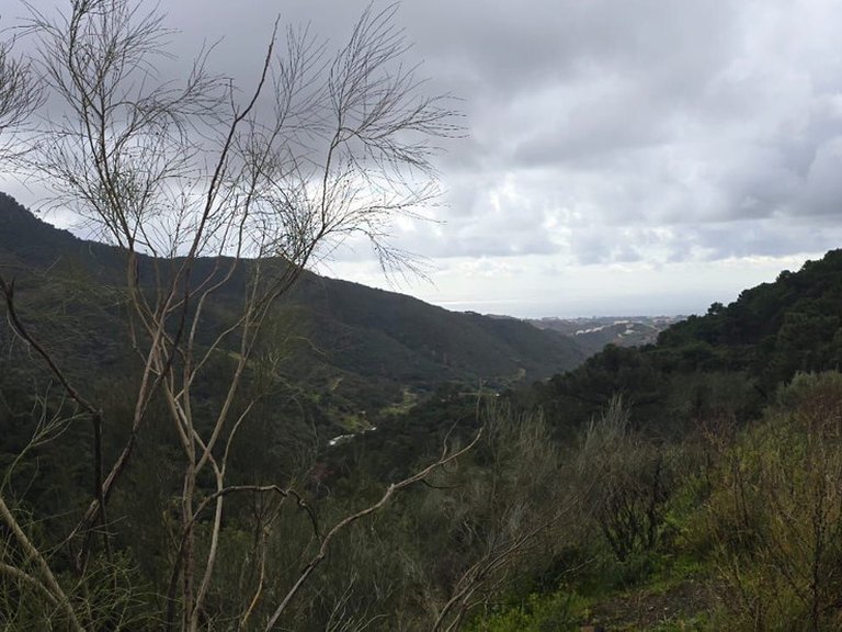 Plot for Sale in Benahavís, Malaga 8