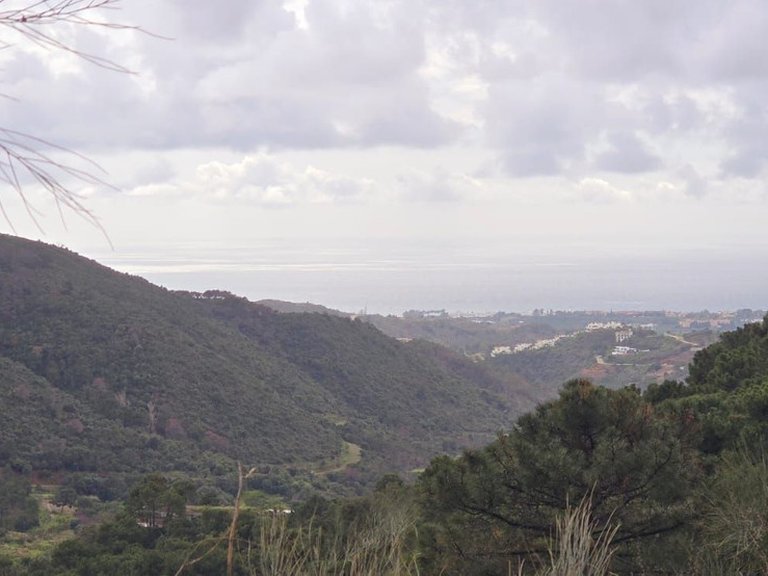 Plot for Sale in Benahavís, Malaga 9