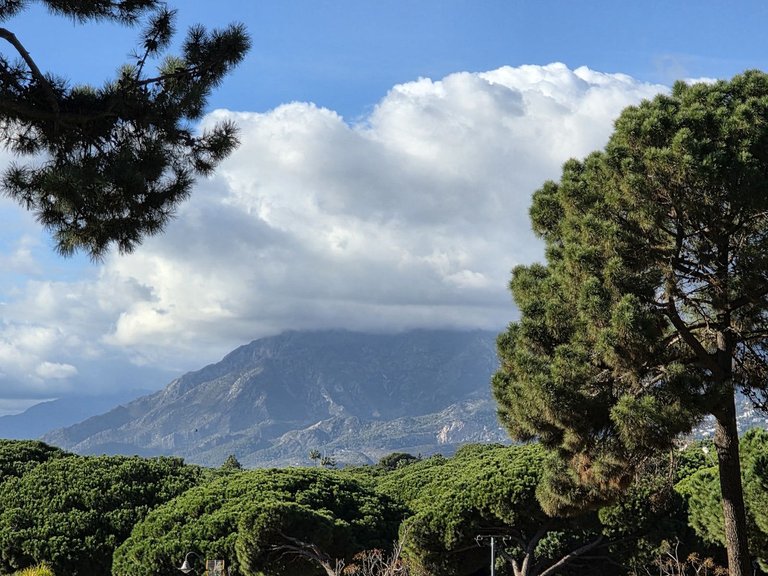 Apartment for Sale in Elviria, Malaga 11