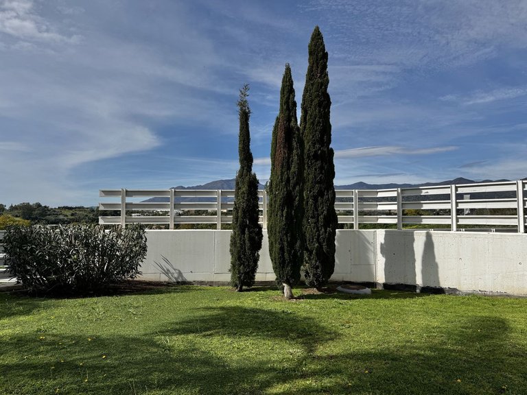 Apartment for  in Costa del Sol, Estepona, Malaga 26