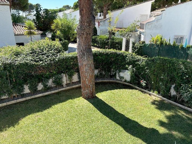 Villa for Sale in Benamara, Malaga 7