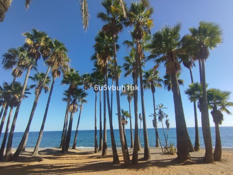 Apartment for Sale in San Pedro De Alcántara, Malaga 33