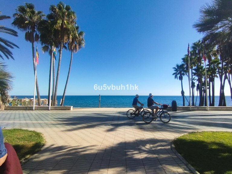 Apartment for Sale in San Pedro De Alcántara, Malaga 35
