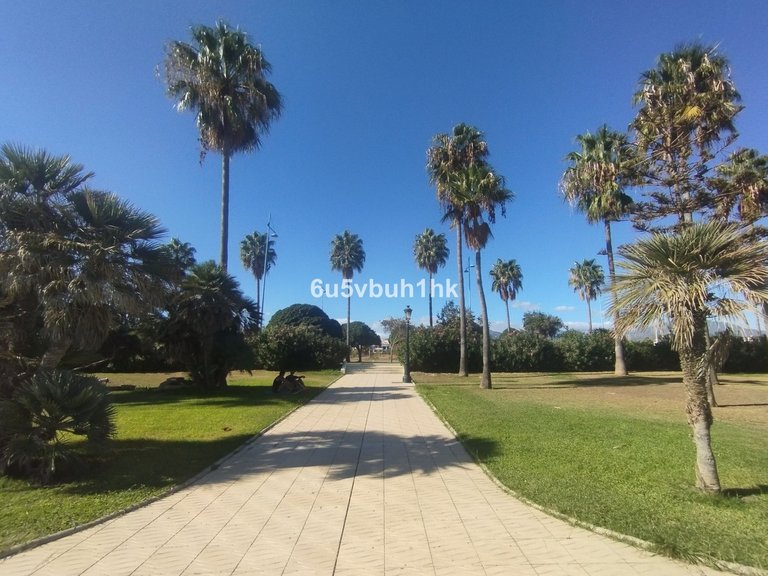 Apartment for Sale in San Pedro De Alcántara, Malaga 38
