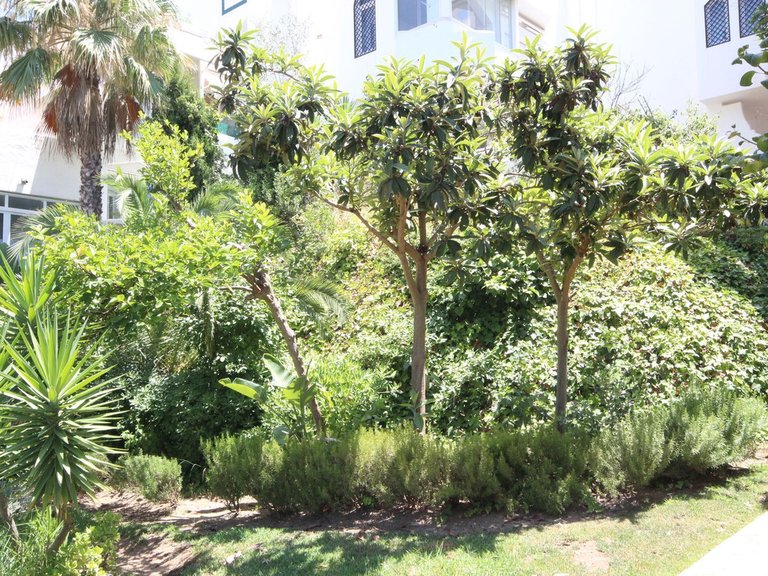 Apartment for Sale in Reserva De Marbella, Malaga 12