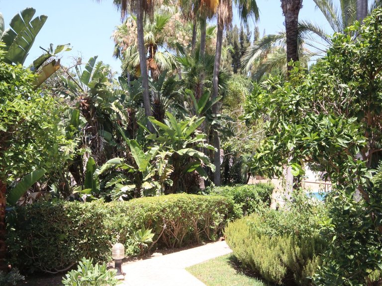 Apartment for Sale in Reserva De Marbella, Malaga 13