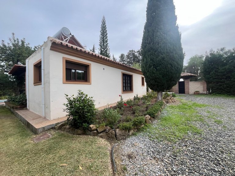 Country House for Sale in Estepona, Malaga 12