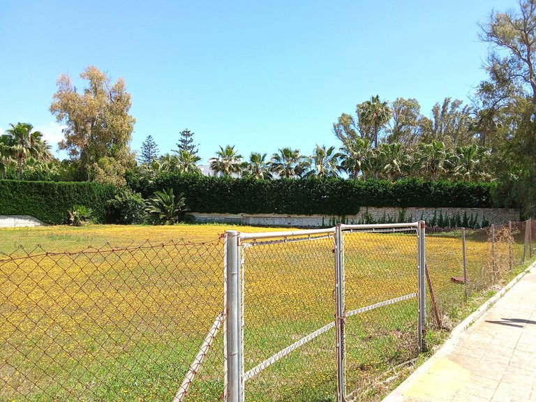 Plot for Sale in Guadalmina Baja, Malaga 2