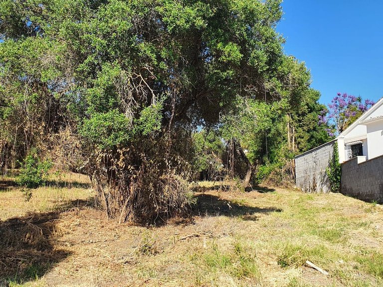 Plot for Sale in San Pedro De Alcántara, Malaga 3