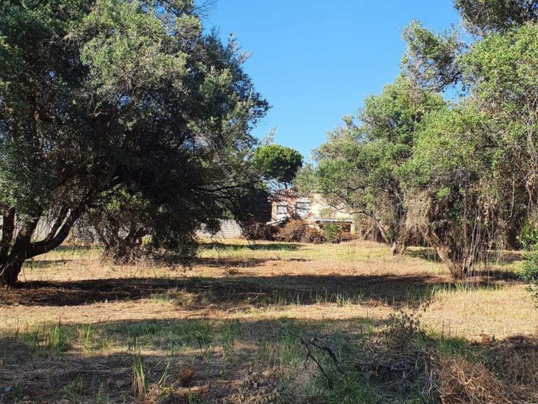 Plot for Sale in San Pedro De Alcántara, Malaga 4