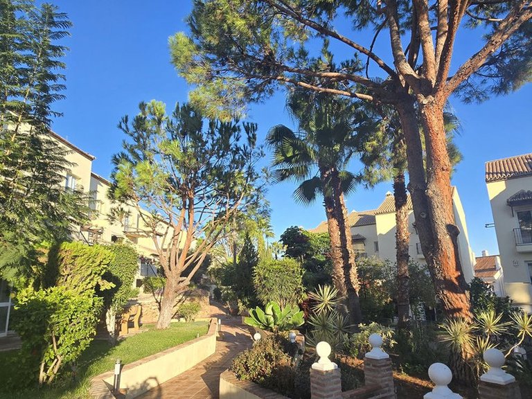 Penthouse for Sale in Marbella, Malaga 10