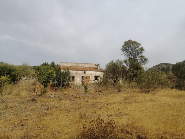 Plot for Sale in Cártama, Malaga 10