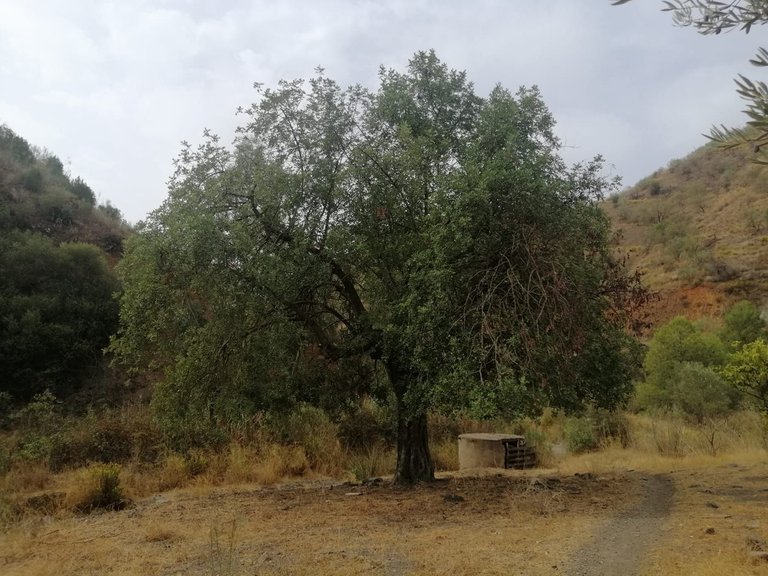 Plot for Sale in Cártama, Malaga 13