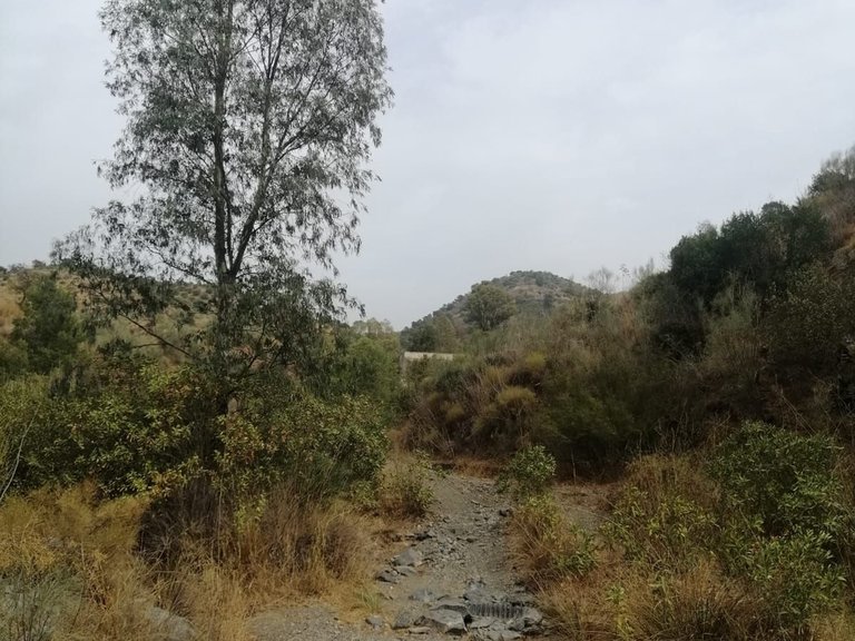 Plot for Sale in Cártama, Malaga 16
