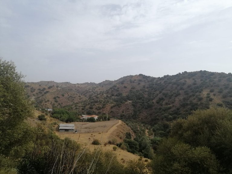 Plot for Sale in Cártama, Malaga 17