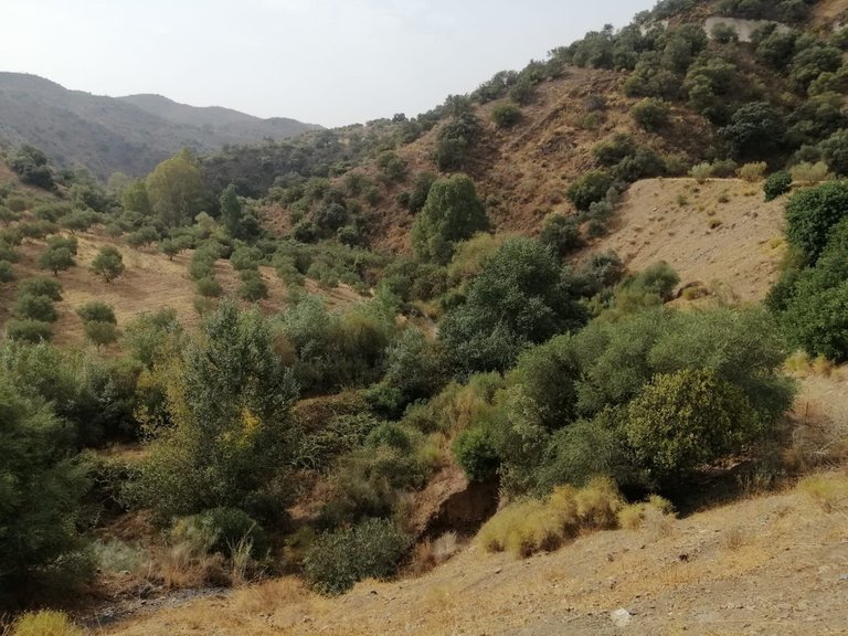 Plot for Sale in Cártama, Malaga 22
