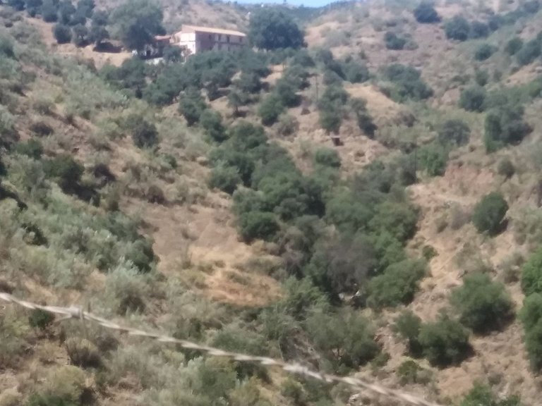 Plot for Sale in Cártama, Malaga 3